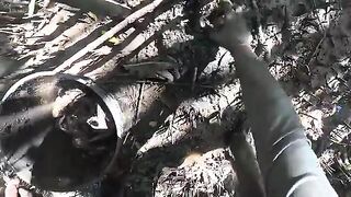 За илистым крабом в мангровые заросли Суринама