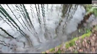 За ручьевым гольцом на лесной водоем в Австрии