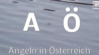 За ручьевым гольцом на лесной водоем в Австрии