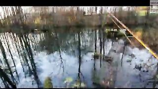 За ручьевым гольцом на лесной водоем в Австрии