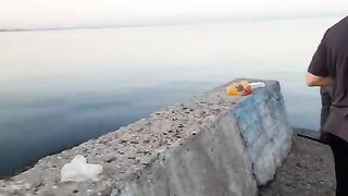 Вечерняя рыбалка у морпорта Феодосии: знакомство с местными