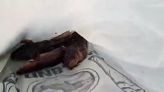 Вечерняя рыбалка у морпорта Феодосии: знакомство с местными