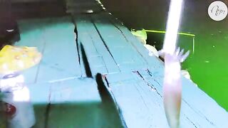 Кальмар на свет у плавучего дома в бухте Ланха