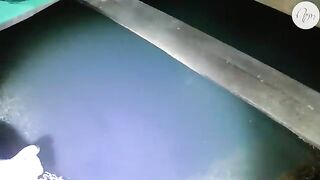 Кальмар на свет у плавучего дома в бухте Ланха