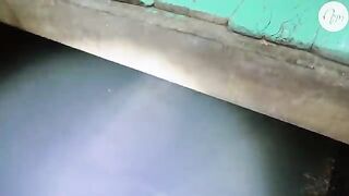 Кальмар на свет у плавучего дома в бухте Ланха