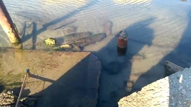 Декабрьская рыбалка в Таманском заливе: бычок на мидию у пристани в теплый день