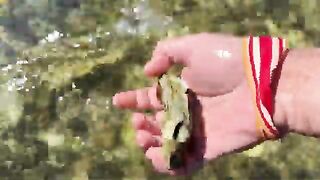 Сахалин: морепродукты у Корсакова, озеро Буссе и обед у воды