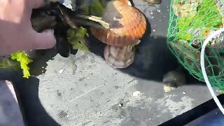 Сахалин: морепродукты у Корсакова, озеро Буссе и обед у воды