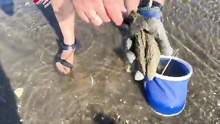 Сахалин: морепродукты у Корсакова, озеро Буссе и обед у воды