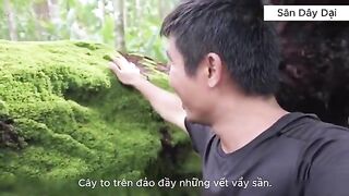 Рыбалка у Соломоновых островов: глубокая точка по дороге к острову