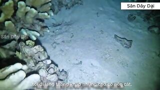 Рыбалка у Соломоновых островов: глубокая точка по дороге к острову