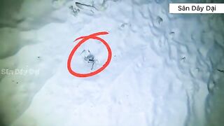 Рыбалка у Соломоновых островов: глубокая точка по дороге к острову