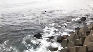 Два луциана и перечный суп после рыбалки в Экваториальной Гвинее
