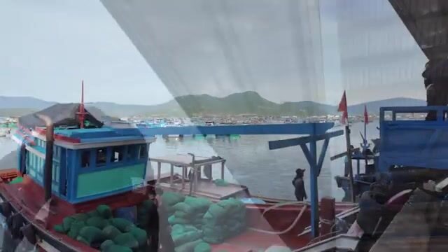 Рыбный порт Дабак в Камрани: лодки, утренняя торговля и приготовление корма для лобстеров