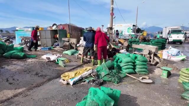 Рыбный порт Дабак в Камрани: лодки, утренняя торговля и приготовление корма для лобстеров