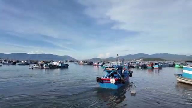 Рыбный порт Дабак в Камрани: лодки, утренняя торговля и приготовление корма для лобстеров