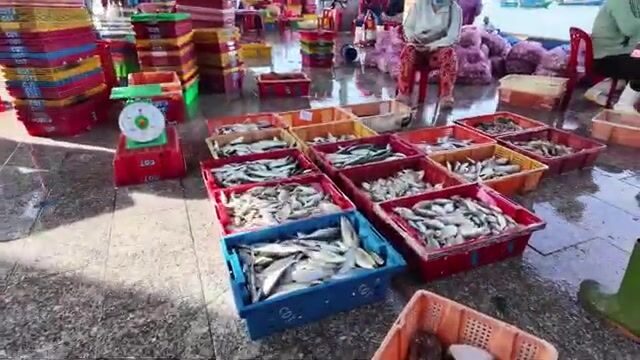 Рыбный порт Дабак в Камрани: лодки, утренняя торговля и приготовление корма для лобстеров