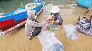Рыбацкое утро в Туихоа: лодки возвращаются с уловом