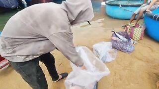 Рыбацкое утро в Туихоа: лодки возвращаются с уловом