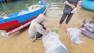 Рыбацкое утро в Туихоа: лодки возвращаются с уловом