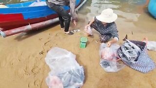 Рыбацкое утро в Туихоа: лодки возвращаются с уловом