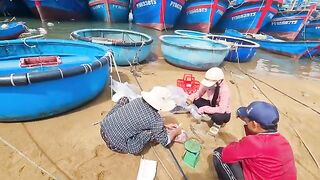 Рыбацкое утро в Туихоа: лодки возвращаются с уловом