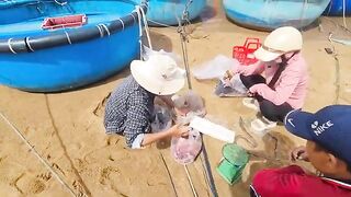Рыбацкое утро в Туихоа: лодки возвращаются с уловом