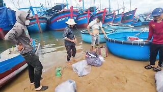 Рыбацкое утро в Туихоа: лодки возвращаются с уловом