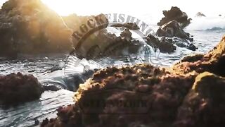 Благовещенская и Большой Утриш: сарган на золотой пилькер и потерянный шнур