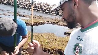 Поездка за морским червем и береговая рыбалка у Эль-Джадиды