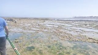 Поездка за морским червем и береговая рыбалка у Эль-Джадиды