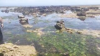 Поездка за морским червем и береговая рыбалка у Эль-Джадиды