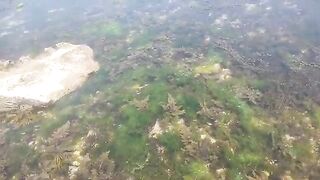 Поездка за морским червем и береговая рыбалка у Эль-Джадиды