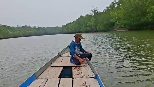 Рыбалка в устье реки в Индонезии: баррамунди и групер с лодки среди мангров