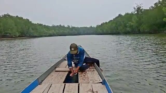 Рыбалка в устье реки в Индонезии: баррамунди и групер с лодки среди мангров