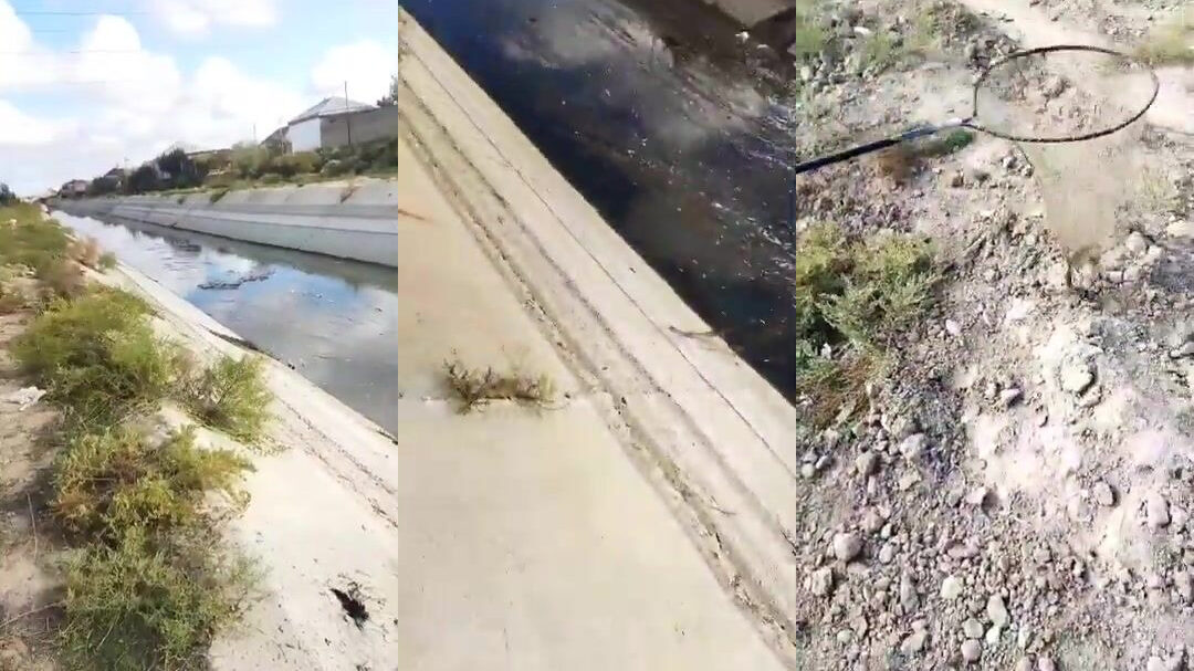 Рыбалка в Сумгаите: короткая вылазка с удочкой к воде на побережье Азербайджана