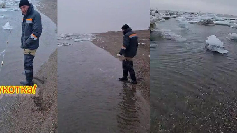 Августовское утро на Чукотском море: сеть во льдах и морской голец