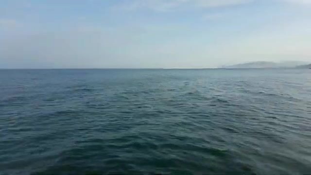 Ставрида с пирса в Курортном: короткая береговая рыбалка на креветку и советы местных рыбаков