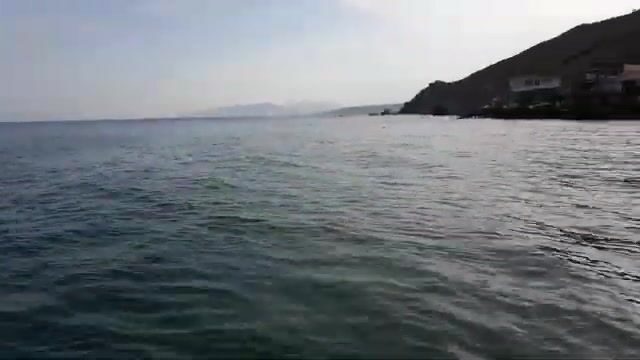 Ставрида с пирса в Курортном: короткая береговая рыбалка на креветку и советы местных рыбаков