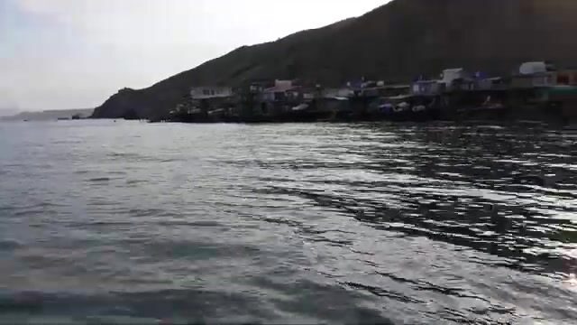 Ставрида с пирса в Курортном: короткая береговая рыбалка на креветку и советы местных рыбаков