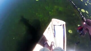 Три щуки и встреча с басом на прозрачном озере в Австрии