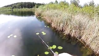 Три щуки и встреча с басом на прозрачном озере в Австрии