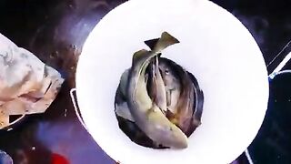 Плохая видимость под водой и треска на креветку у Янтарного