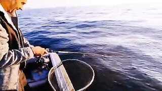 Плохая видимость под водой и треска на креветку у Янтарного