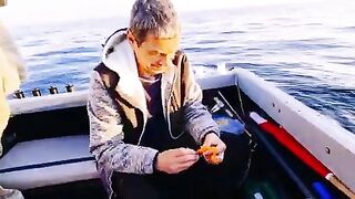 Плохая видимость под водой и треска на креветку у Янтарного