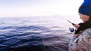 Плохая видимость под водой и треска на креветку у Янтарного