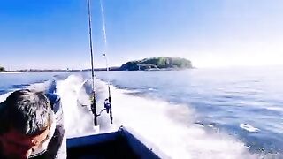 Плохая видимость под водой и треска на креветку у Янтарного