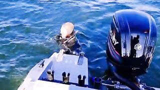 Плохая видимость под водой и треска на креветку у Янтарного