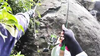 Легкий спиннинг на мелководных рифах Кулао Чам