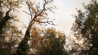 Переезд на новый участок Дуная принес карпа за пятнадцать килограммов